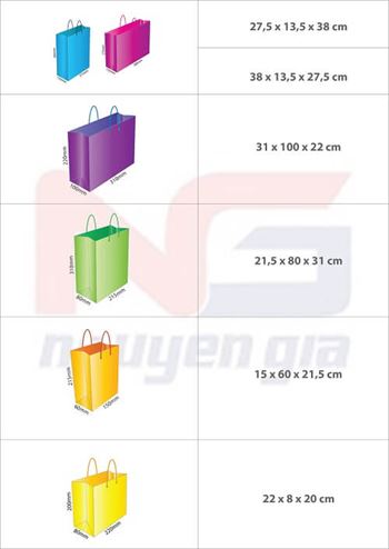 Kích thước in túi giấy chuẩn tại Hà Nội Kích thước in túi giấy chuẩn tại Hà Nội