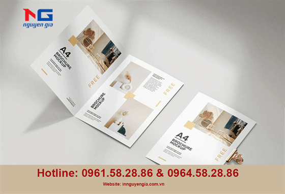 mẫu catalogue đẹp mẫu catalogue đẹp