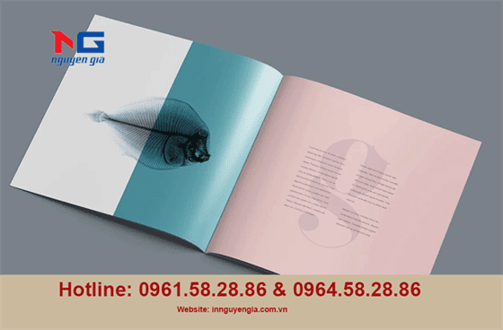 mẫu catalogue giá rẻ mẫu catalogue giá rẻ