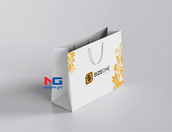 Mẫu túi giấy dành cho shop thời trang đẹp