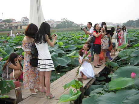 Chụp ảnh kỷ yếu đẹp tại đầm sen tây hồ