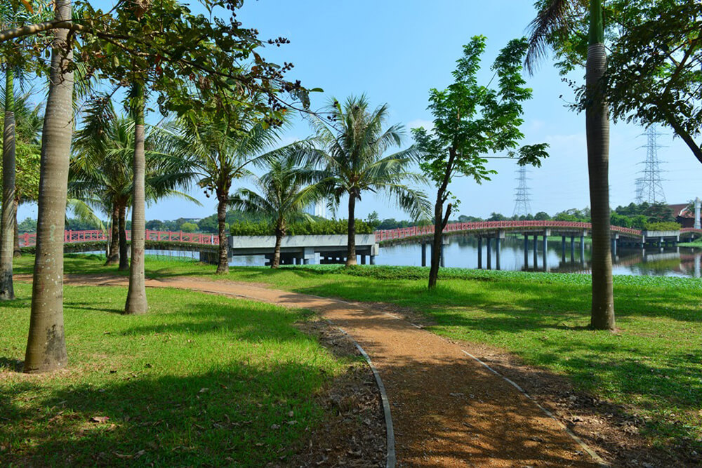 chụp kỷ yếu tại công viên yên sở