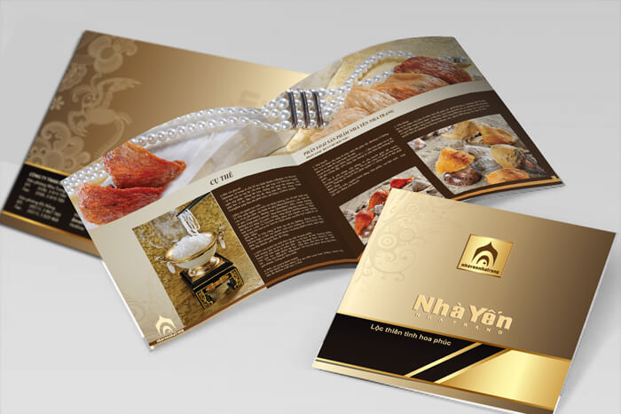 Thiết kế catalogue giá rẻ 