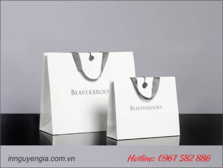 Hình ảnh cho bài viết Chuyên nhận làm túi giấy trọn gói
