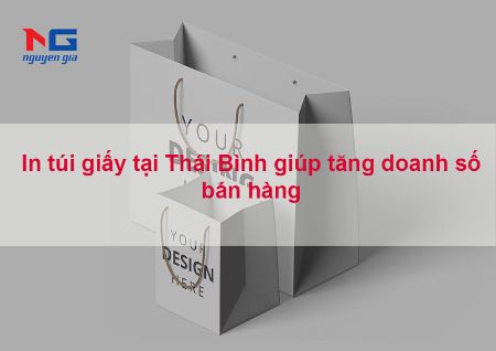 Hiển thị chi tiết cho In túi giấy tại Thái Bình giúp tăng doanh số bán hàng Hình ảnh cho bài viết In túi giấy tại Thái Bình giúp tăng doanh số bán hàng