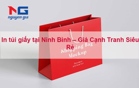 Hình ảnh cho bài viết In túi giấy tại Ninh Bình – Giá Cạnh Tranh Siêu Rẻ