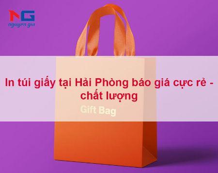 Hình ảnh cho bài viết In túi giấy tại Hải Phòng báo giá cực rẻ - chất lượng