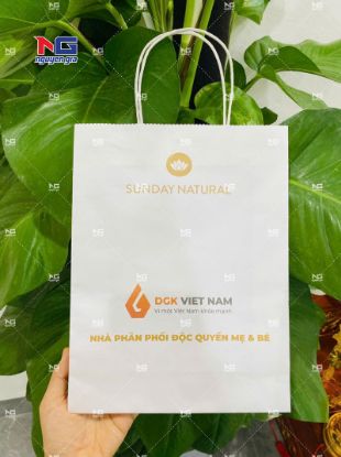 Hình ảnh của Mẫu túi giấy DGK thương hiệu mẹ và bé