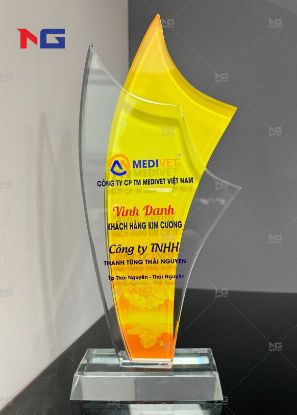 Hình ảnh của Mẫu cúp pha lê MEDIVET Việt Nam