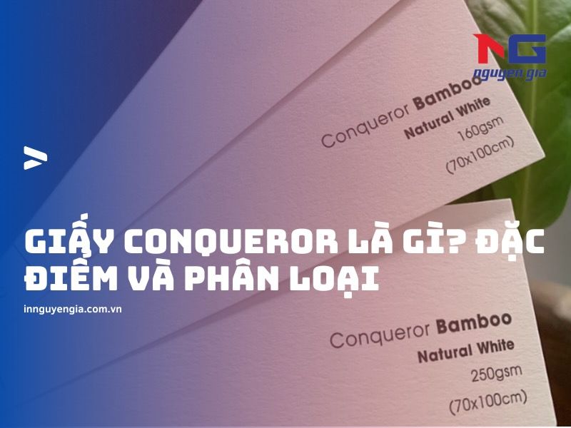 Tìm hiểu khái niệm giấy Conqueror là gì?