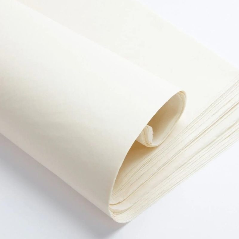 Ứng dụng của giấy Ivory phổ biến hiện nay