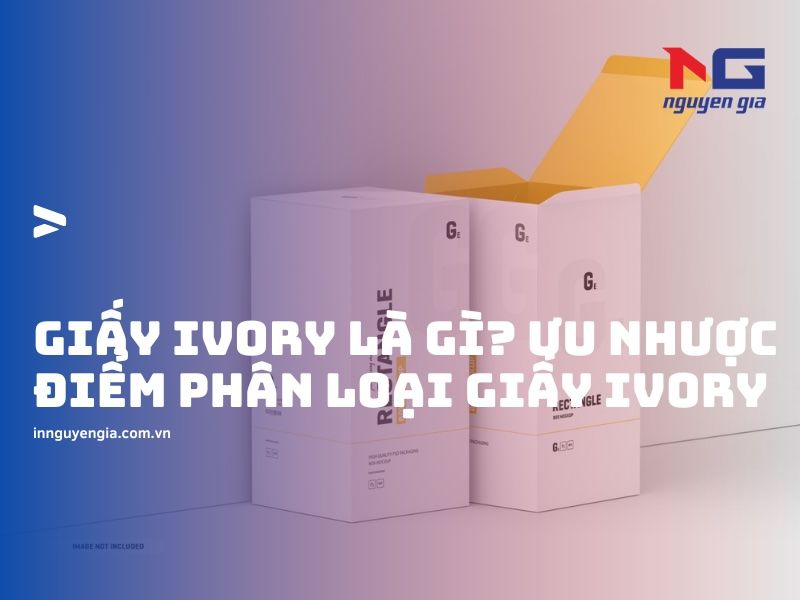 Giới thiệu về giấy Ivory là gì?