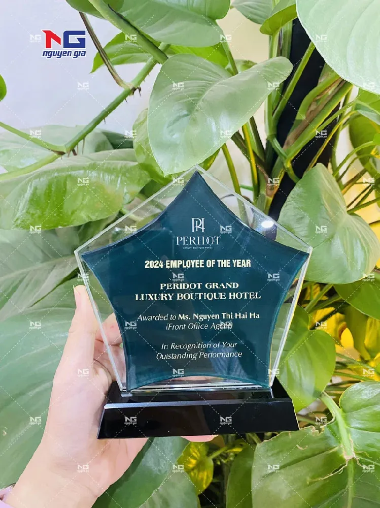 mẫu cúp pha la thực tế