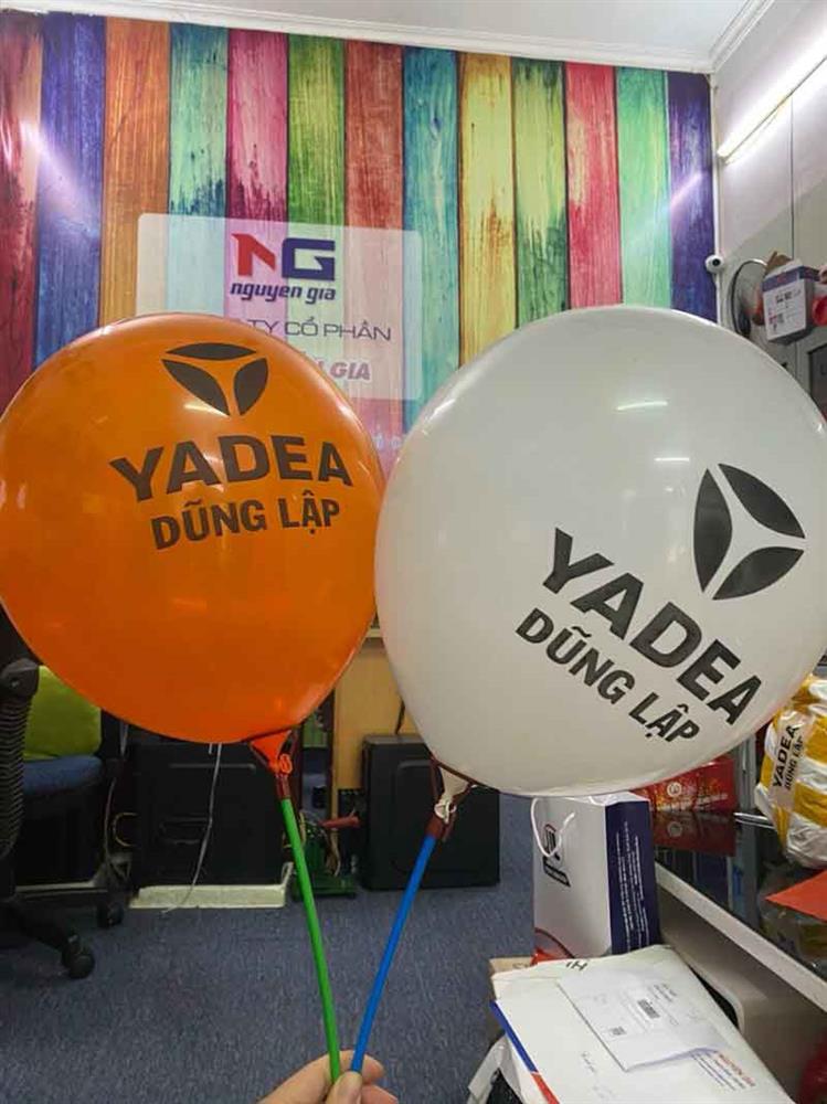 mẫu bóng bay theo yêu cầu