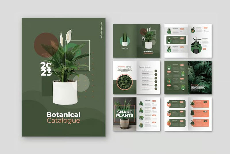 mẫu catalog
