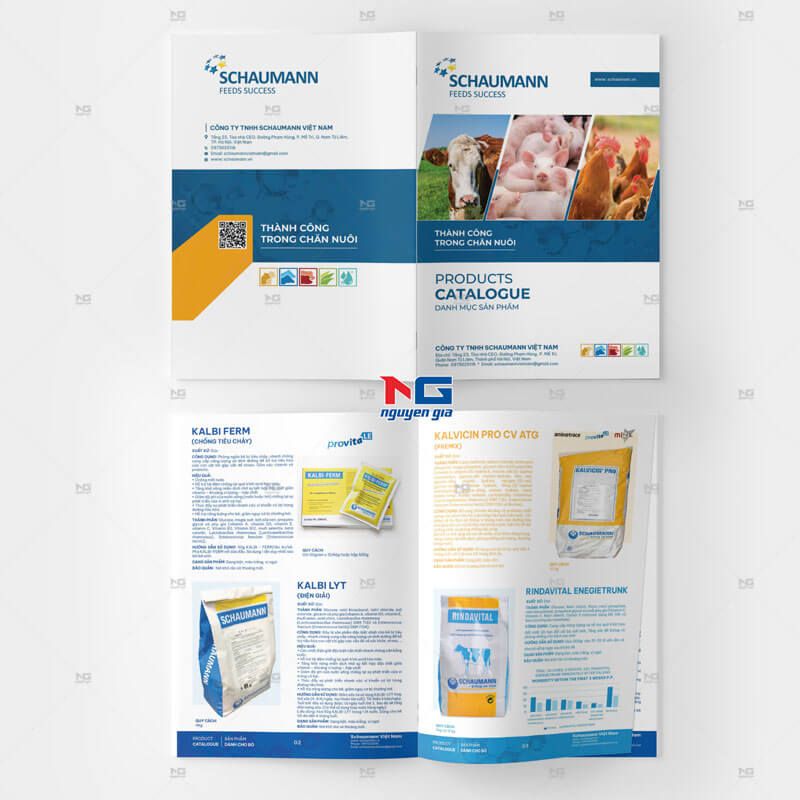 mẫu catalogue đẹp tại Hà Nội