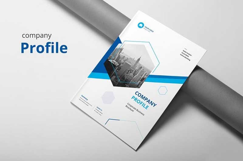 mẫu profile giá rẻ