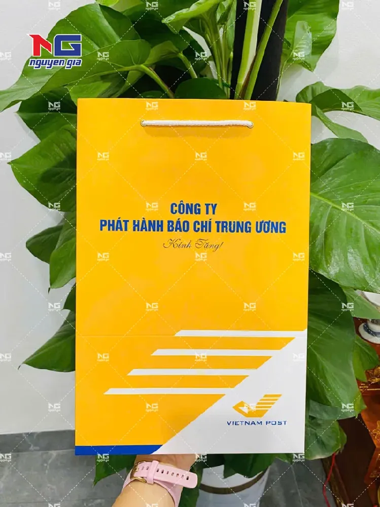 mẫu túi giấy Vietnam Post