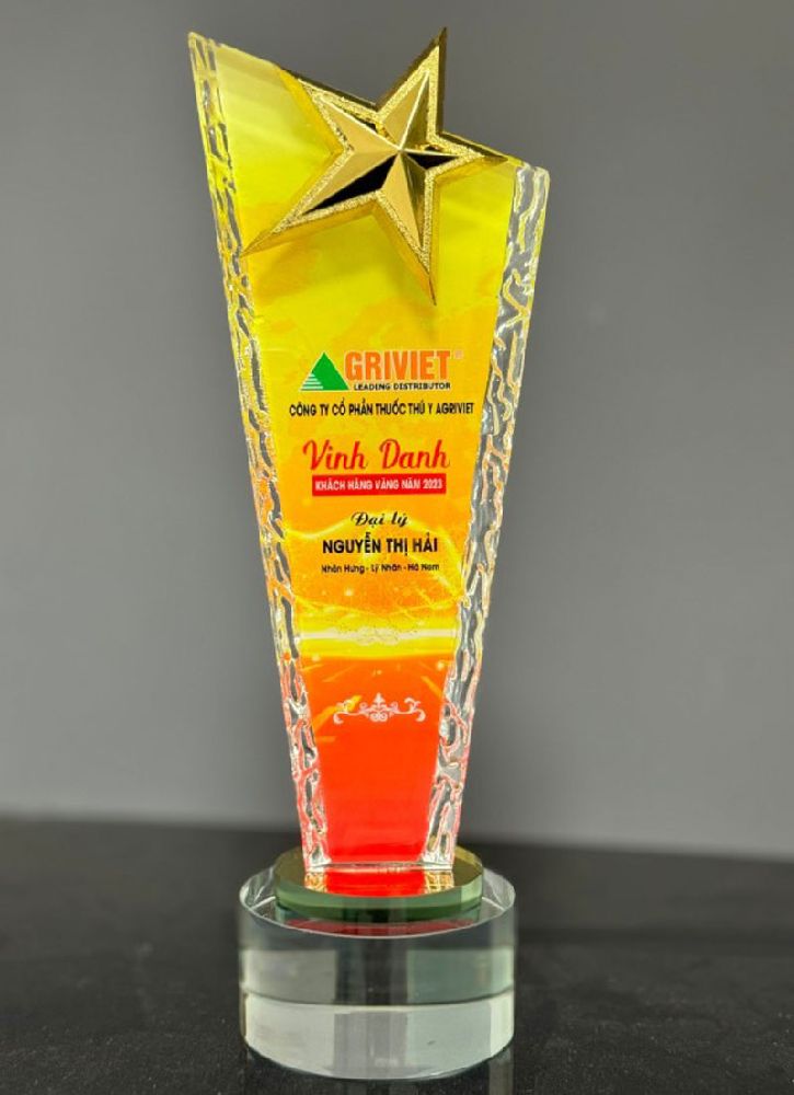 mẫu cúp vinh danh đẹp 